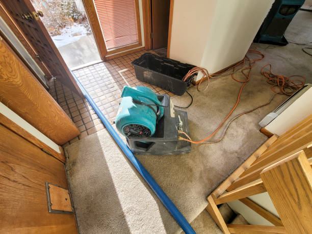 Best Water damage contractors near me  in Mountville, PA